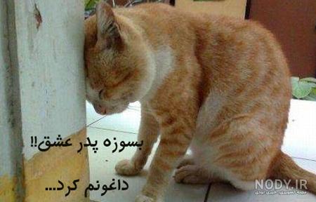 عکس خنده دار دخترانه