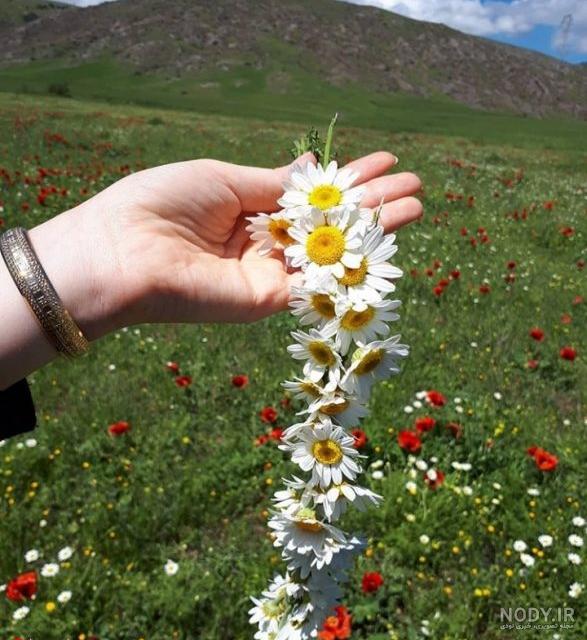 عکس طبیعت بهاری زیبا عکس طبیعت بهاری زیبا
