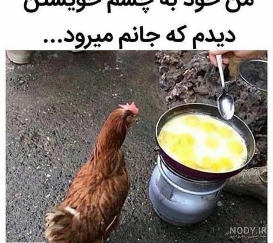 عکس غذا ممنوع
