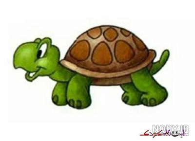 عکس لاک پشت غول پیکر عکس لاک پشت غول پیکر