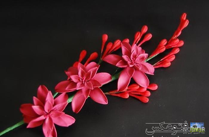 عکس نوشته اسم مریم