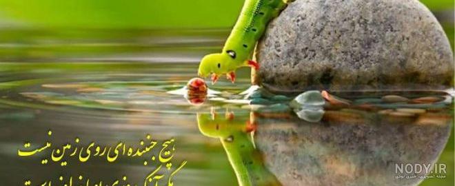 عکس نوشته رزق و روزی دست خداست