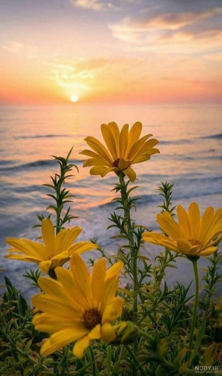 عکس نوشته غروب دلتنگی