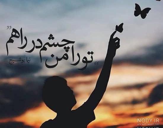 عکس نوشته های فریدون مشیری
