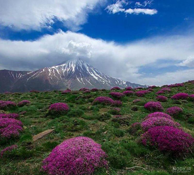عکس پرچم ایران زیبا عکس پرچم ایران زیبا
