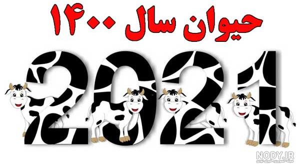 عکس گاو خنده دار عکس گاو خنده دار