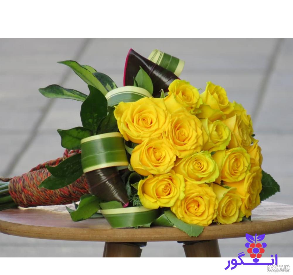 عکس گل رز زرد عکس گل رز زرد
