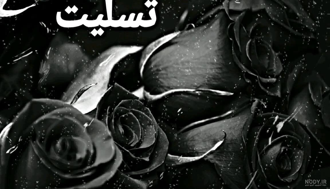 عکس گل صورتی با زمینه مشکی