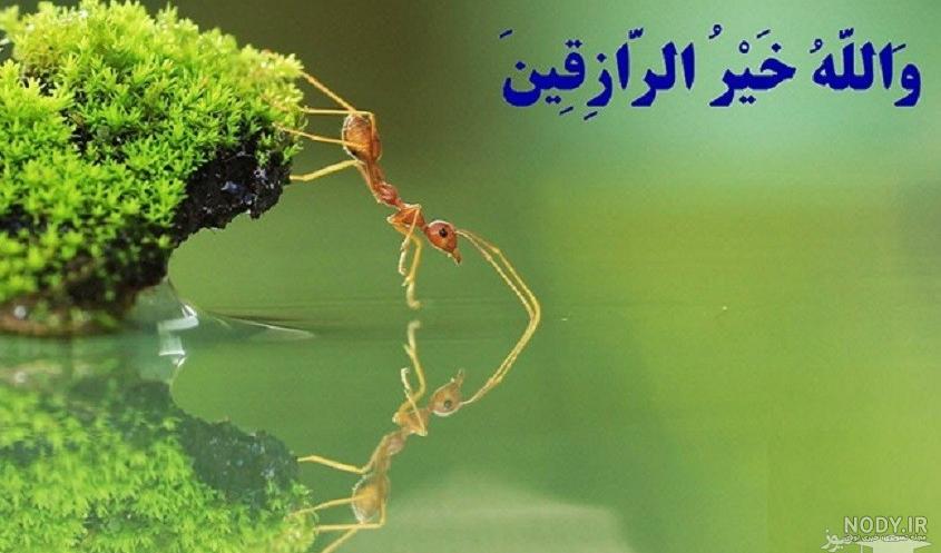 متن در مورد روزی رسان خداست