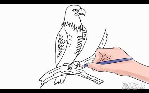 نقاشی سیاه قلم