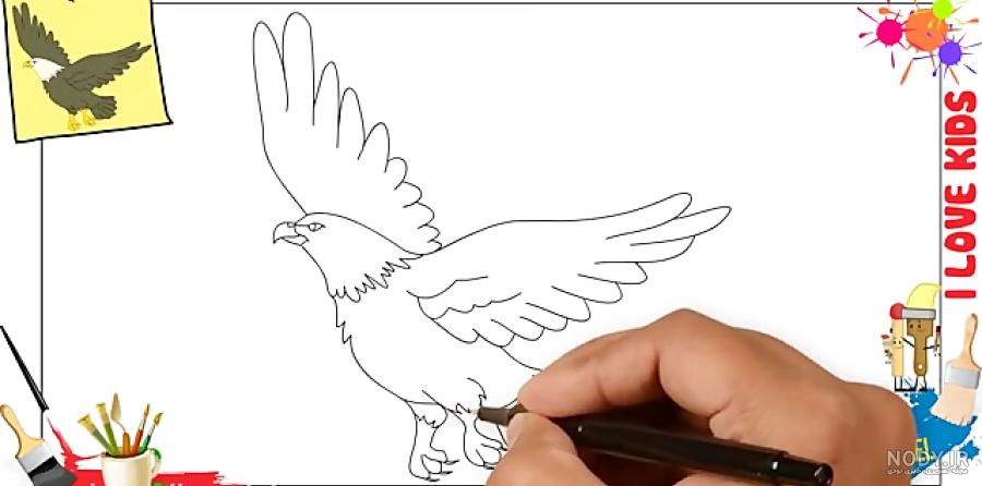 نقاشی عقاب ساده