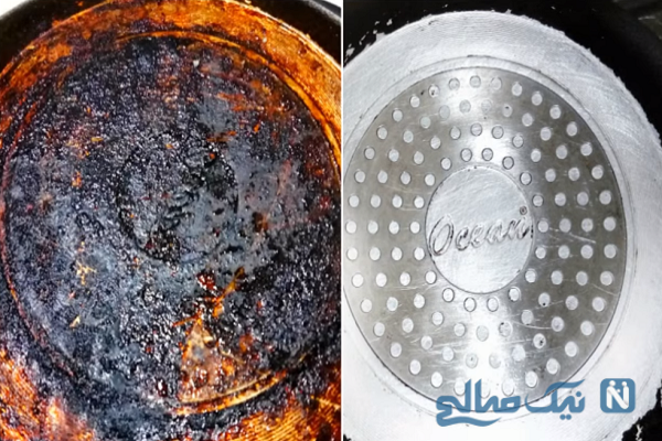 چگونه بوی بد بلدرچین را از بین ببریم