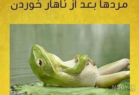 گالری عکس نوشته خنده دار گالری عکس نوشته خنده دار