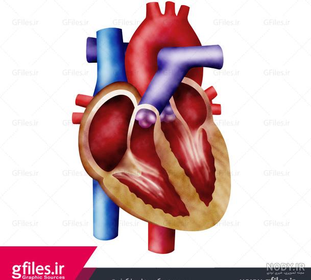 عکس قلب برای نقاشی