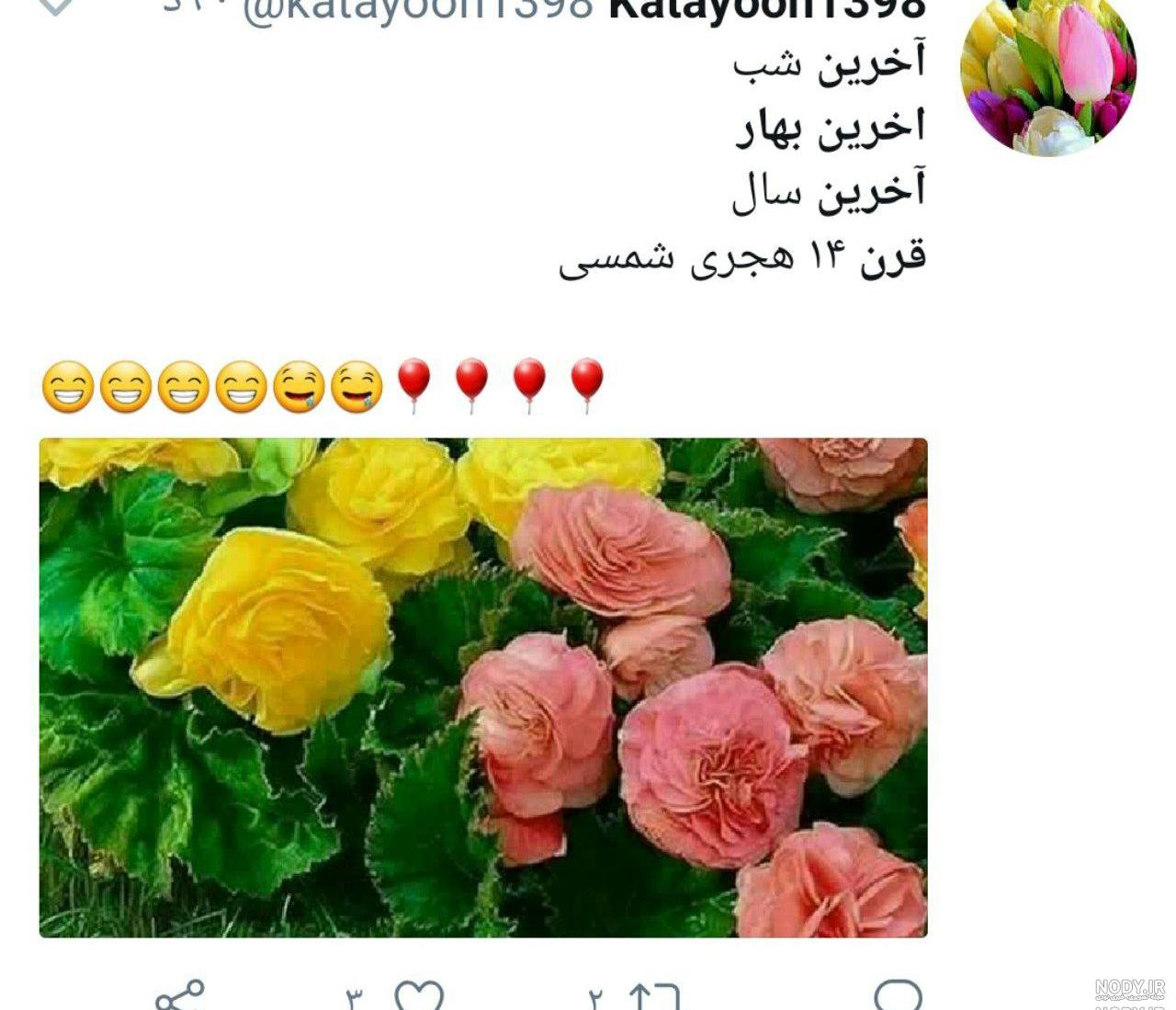 آخرین تولد قرن