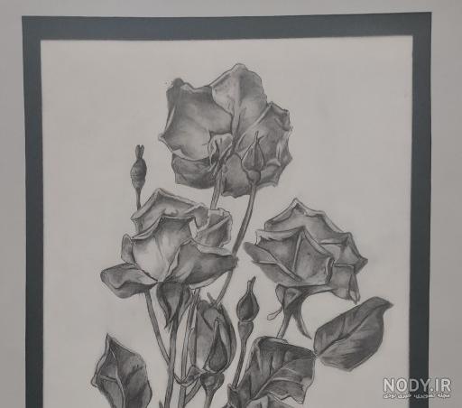 آموزش نقاشی سیاه قلم دخترانه آموزش نقاشی سیاه قلم دخترانه