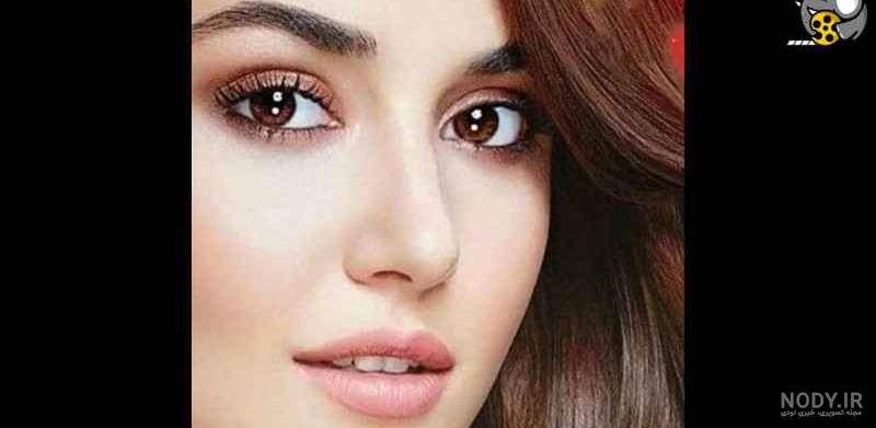 رژیم سخت هانده ارچل