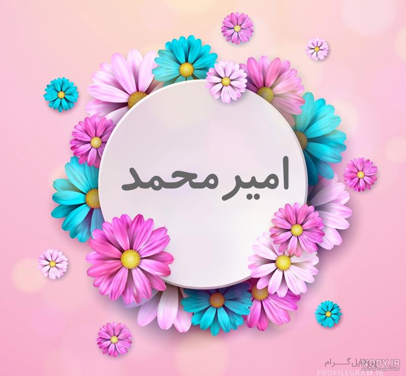 عکس امیرمحمد پروفایل