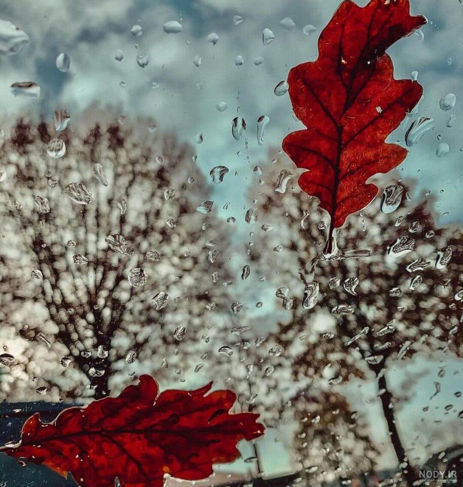 عکس باران و پنجره