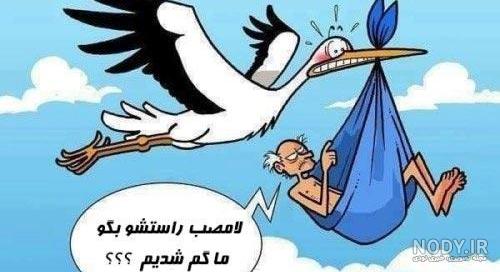 عکس حیوانات با متن