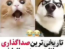 عکس خنده دار از حیوانات با متن