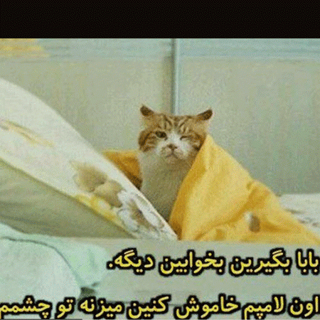 عکس خنده دار حیوانات با متن