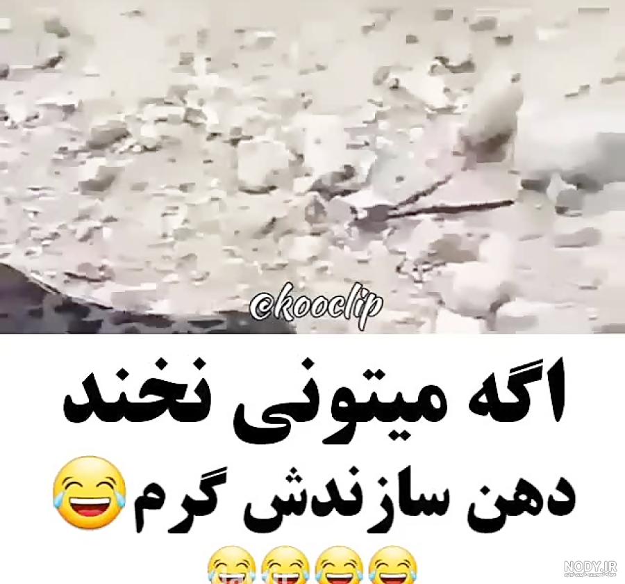 عکس خنده دار گربه