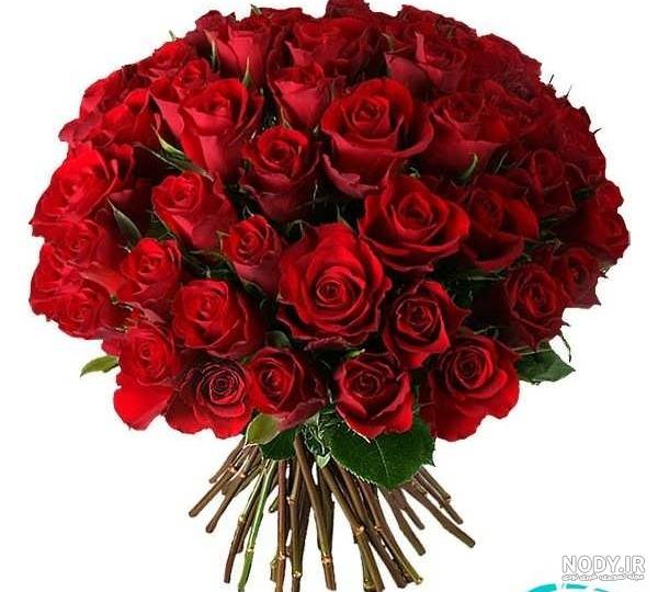 عکس دختر با دسته گل رز قرمز