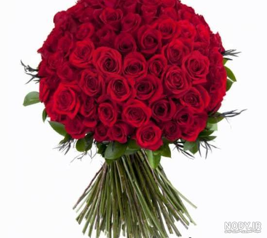 عکس دسته گل رز قرمز