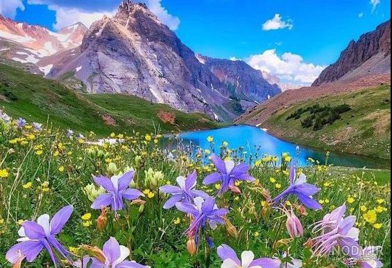 عکس طبیعت بهاری برای پروفایل عکس طبیعت بهاری برای پروفایل