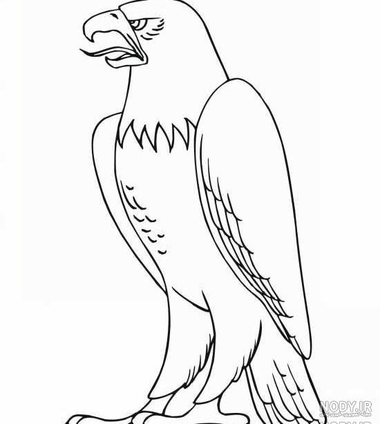 عکس نقاشی عقاب کودکانه