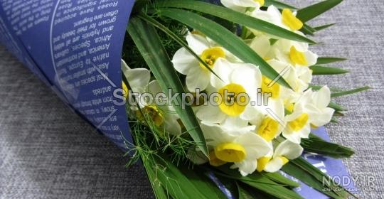 عکس نوشته سلام بر گل نرگس عکس نوشته سلام بر گل نرگس