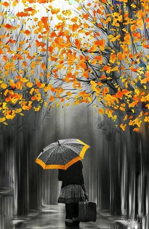 عکس چتر زیبا