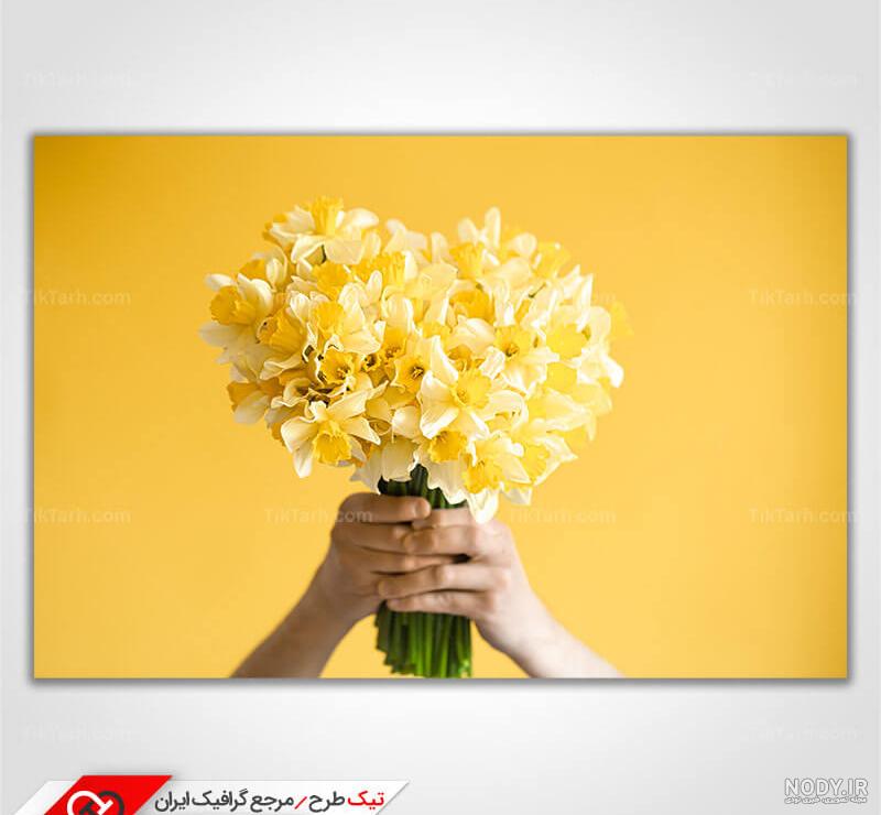 عکس گل نرگس در دست دختر برای پروفایل عکس گل نرگس در دست دختر برای پروفایل