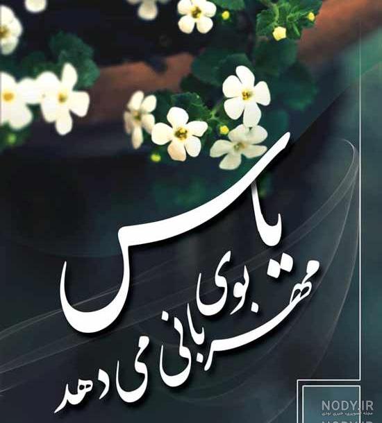 عکس گل یاس رازقی عکس گل یاس رازقی