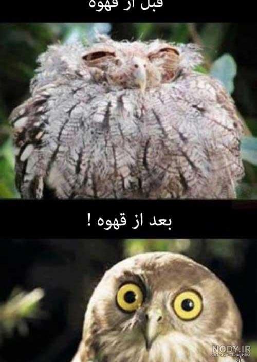 لباس خنده دار دخترونه