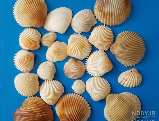 مدل مانتو گشاد تابستانی جدید مدل مانتو گشاد تابستانی جدید