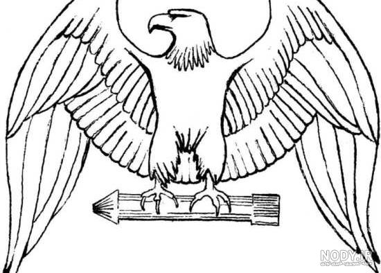 نقاشی سر عقاب با مداد