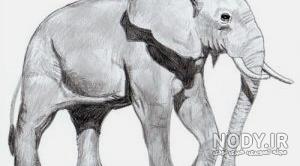 نقاشی سیاه قلم مبتدی نقاشی سیاه قلم مبتدی