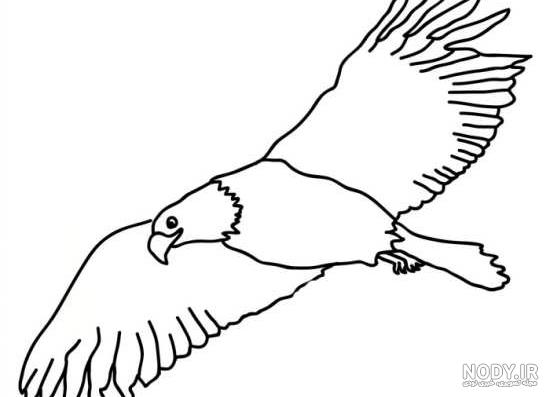 نقاشی عقاب کودکانه رنگ آمیزی شده