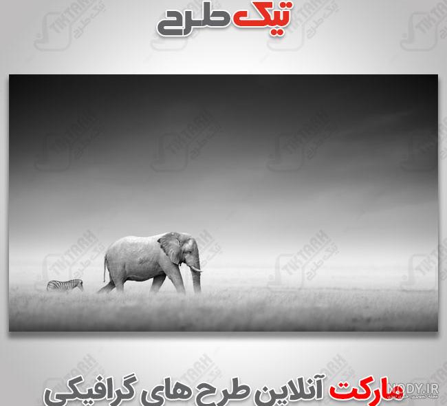 کلیپ نقاشی سیاه قلم کلیپ نقاشی سیاه قلم