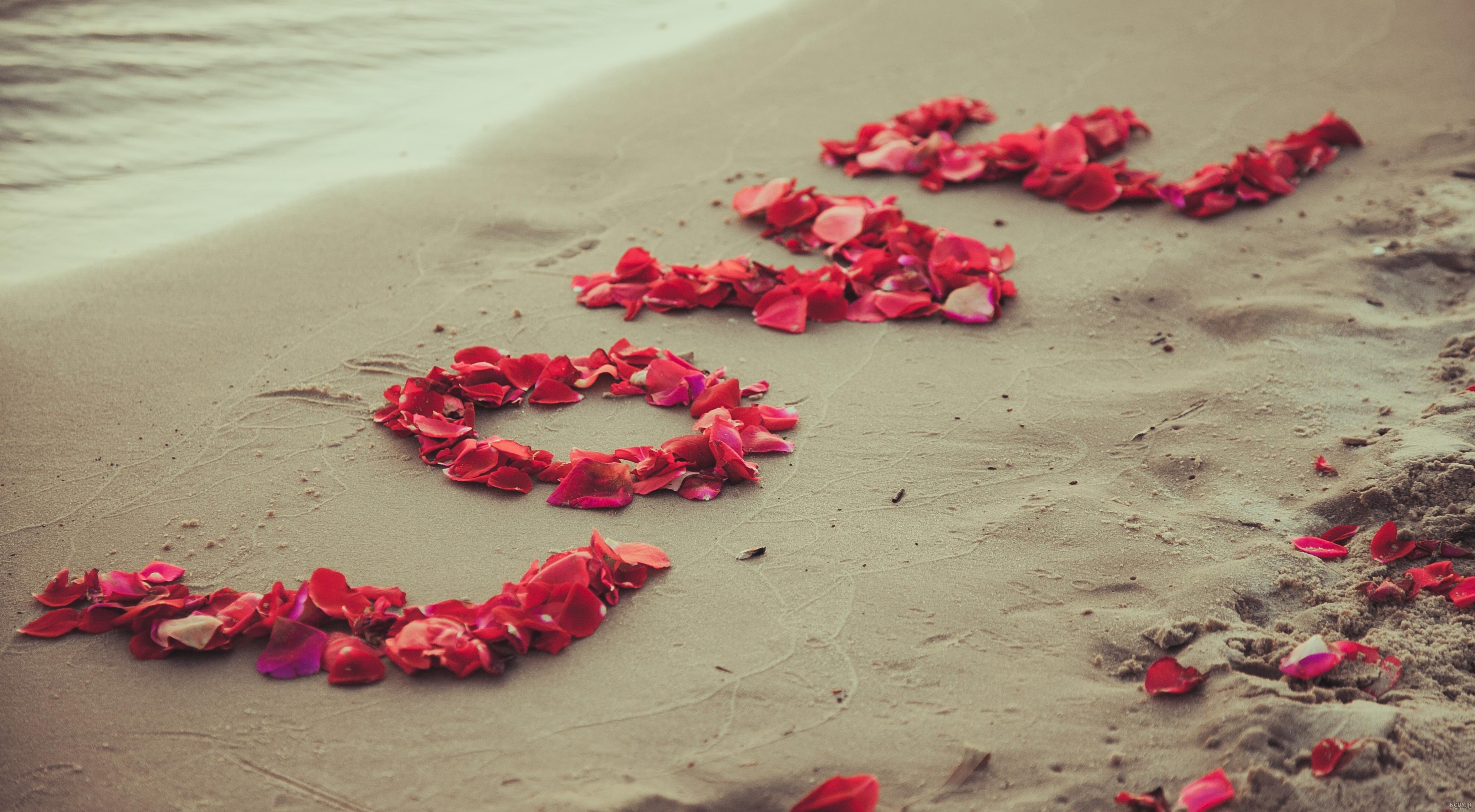عکس قلب انسان برای پروفایل