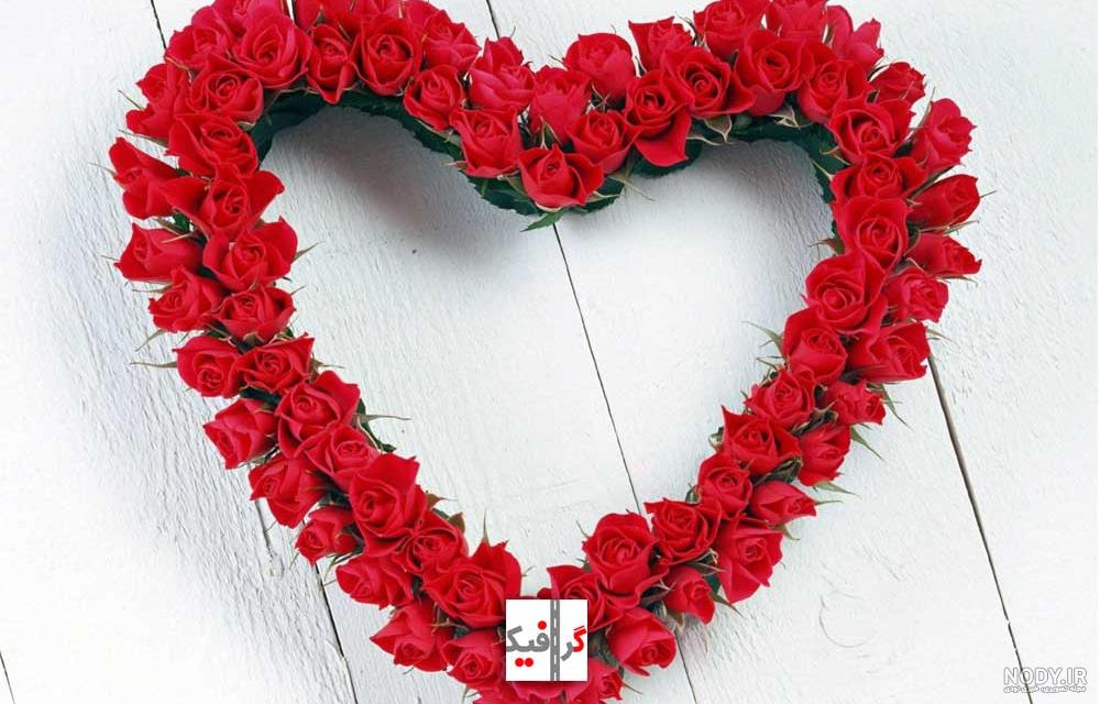 عکس گل زیبا قلبی