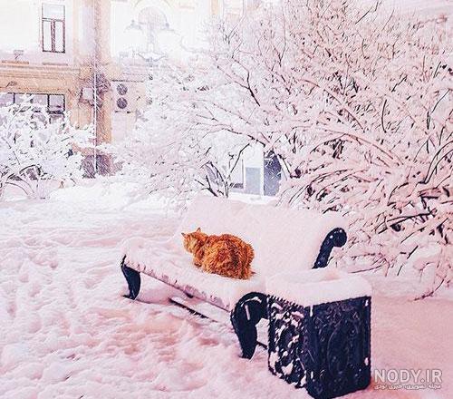  پروفایل زمستانی غمگین بدون متن