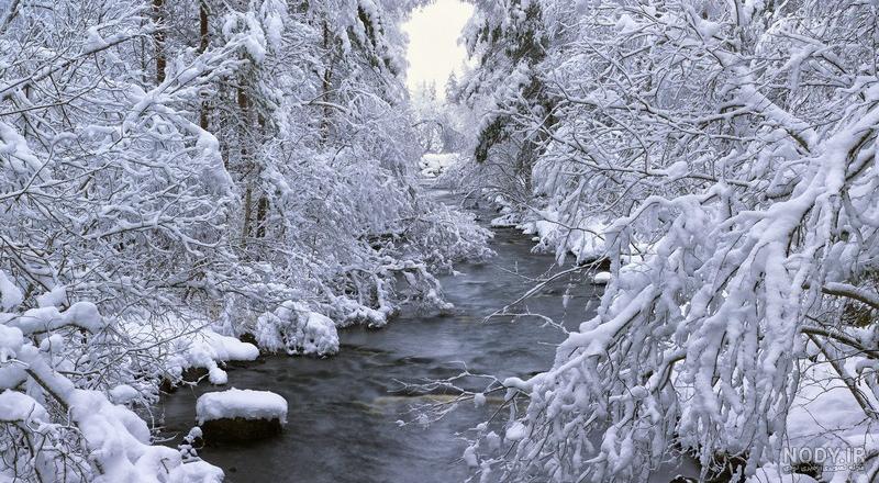  پروفایل زمستانی غمگین بدون متن