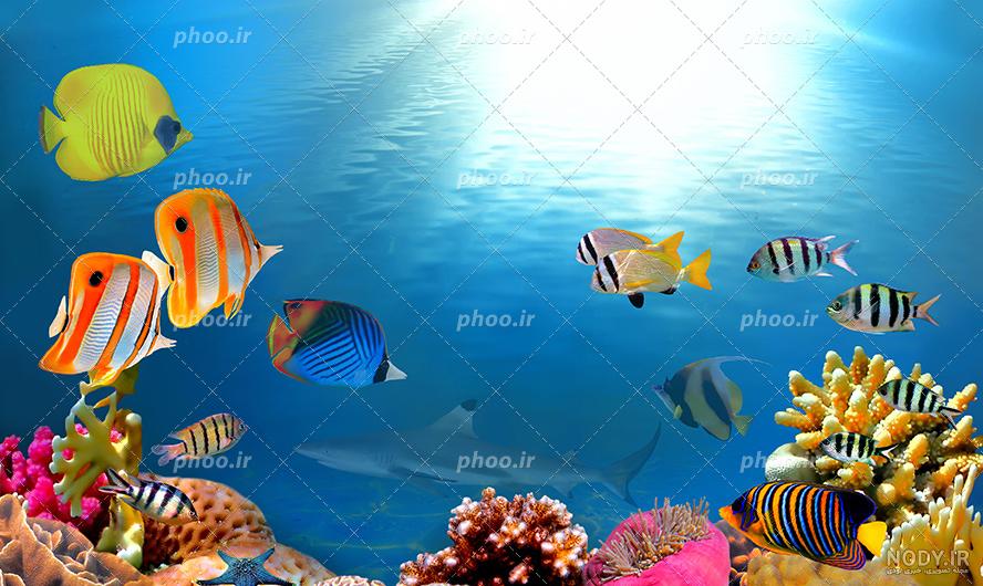 آموزش عکاسی لب دریا آموزش عکاسی لب دریا