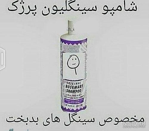 بیو سینگل شاخ بیو سینگل شاخ