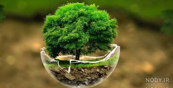 تصاویر مفهومی طبیعت تصاویر مفهومی طبیعت