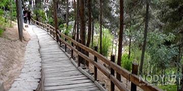 جاذبه های طبیعی تهران