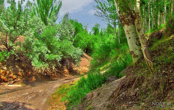 روستای ماریان کجاست